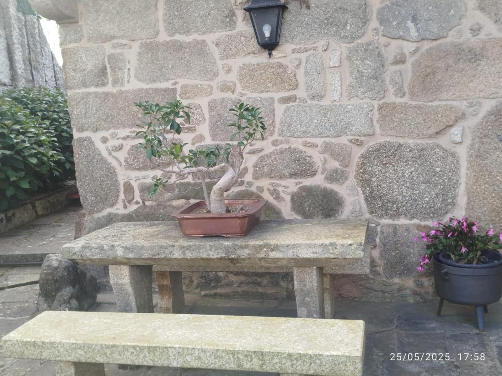 O Apartamento Do Xanza, Ideal Para Parejas Adaptado Movilidad Reducida Meis Buitenkant foto