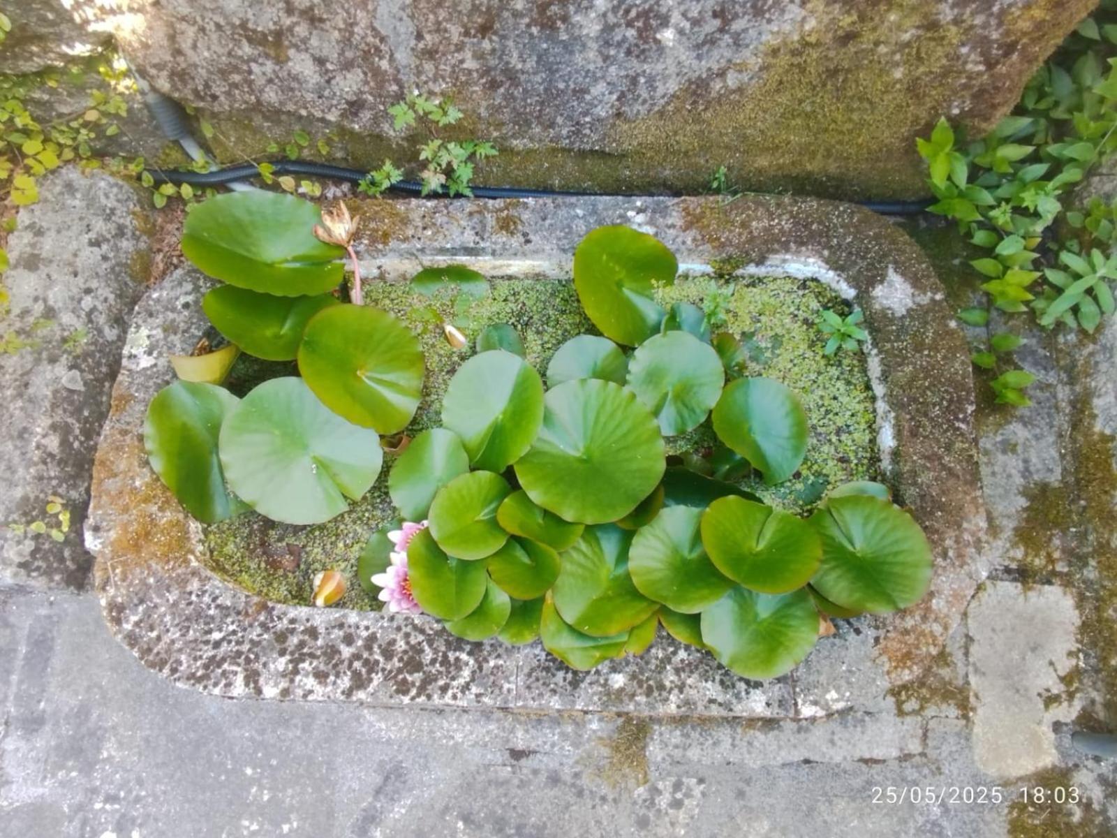 O Apartamento Do Xanza, Ideal Para Parejas Adaptado Movilidad Reducida Meis Buitenkant foto
